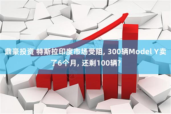 鼎豪投资 特斯拉印度市场受阻, 300辆Model Y卖了6个月, 还剩100辆?