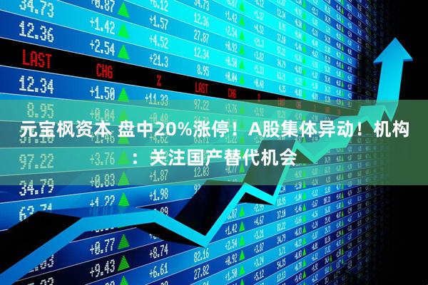 元宝枫资本 盘中20%涨停！A股集体异动！机构：关注国产替代机会