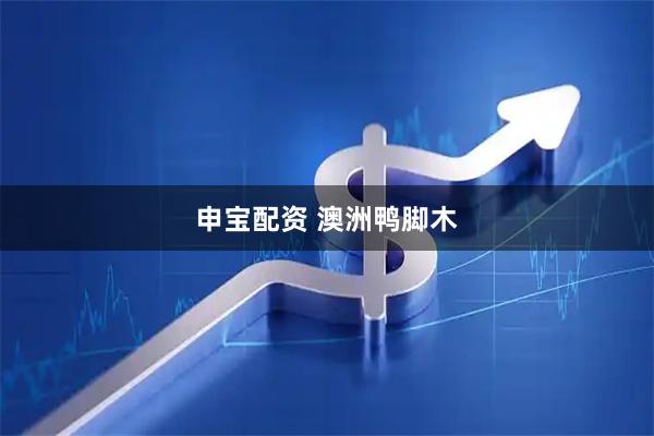 申宝配资 澳洲鸭脚木